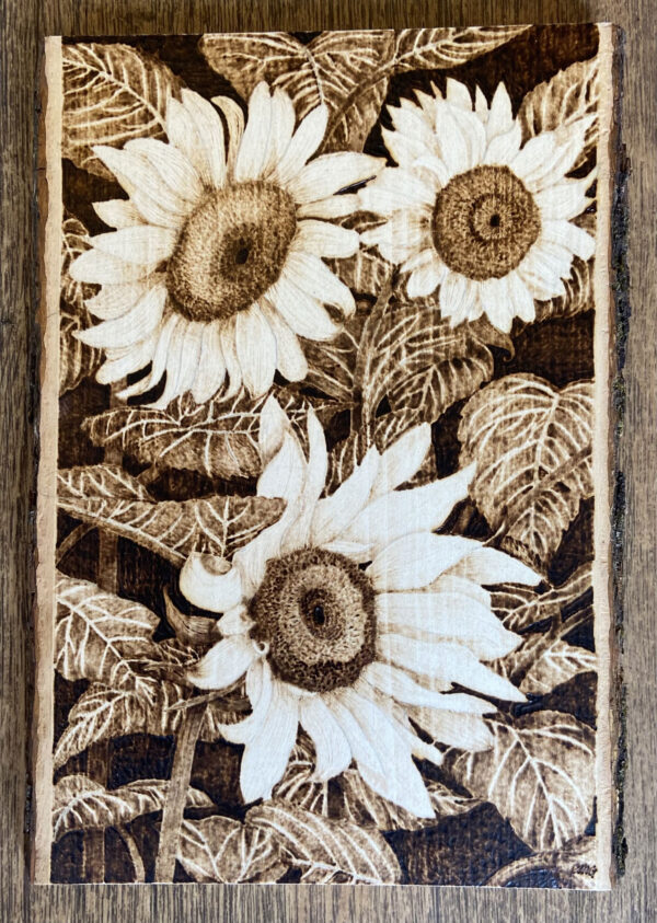 Sunflowers - Chantal Gatehouse Pyrography